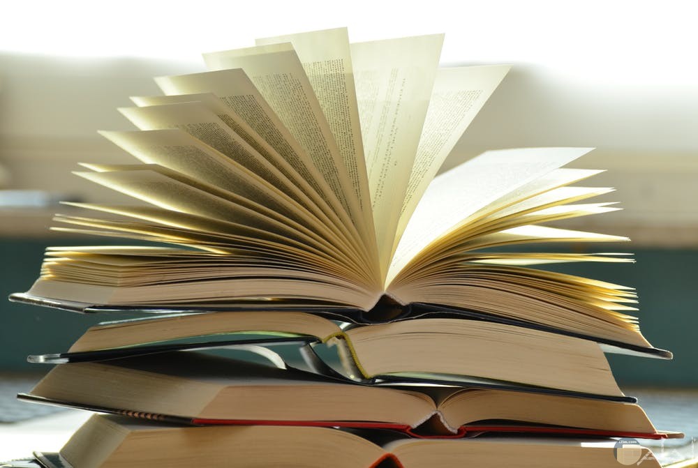 Texas A&M Business Analytics Review